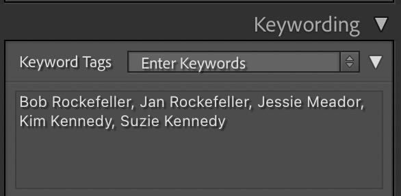 Lightroom keyword display