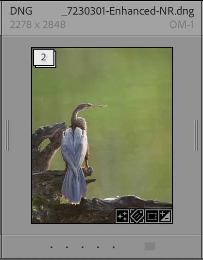 A Lightroom Stack